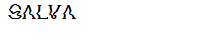 SALVA